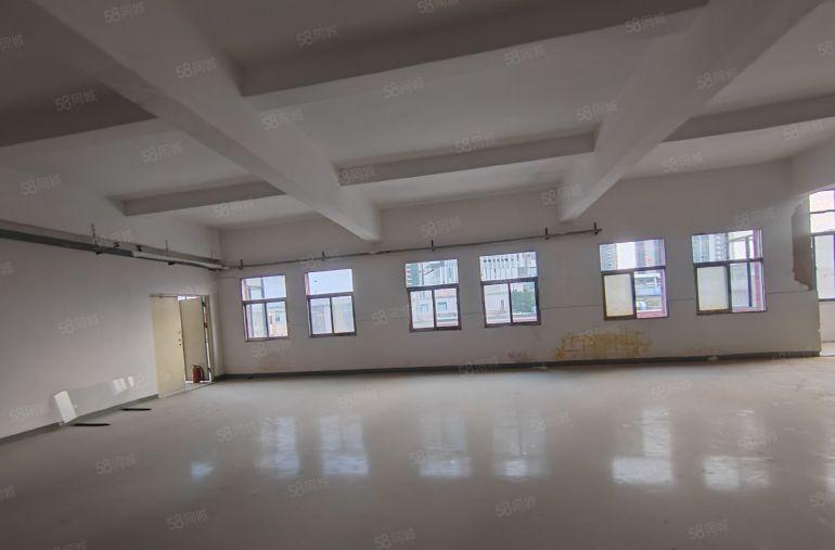 1000平方一层龙田街道全新标准厂房出租性价比高停车免费