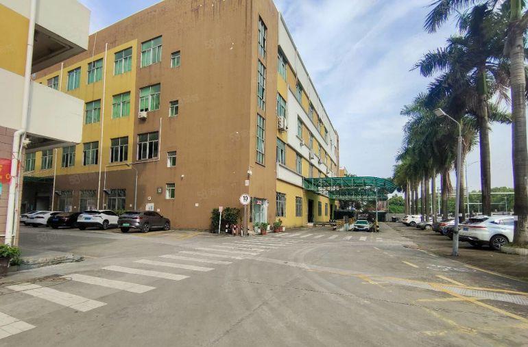 坑梓原房东实际面积500至11000平厂房仓库出租精装办公室