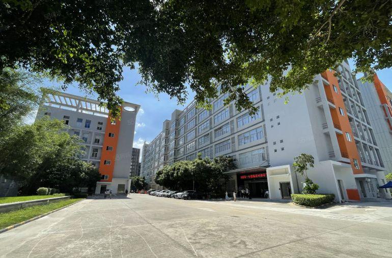 清盘特价坪山原房东独栋楼上2000平方带装修厂房仓库低价出租