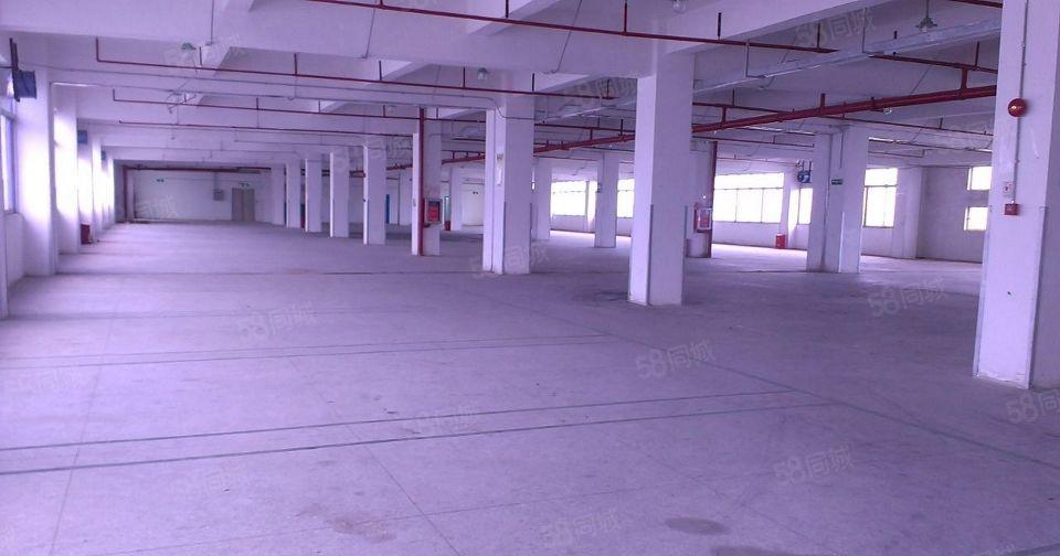 坪山大工业区空出楼上680平米厂房出租带装修有房产证