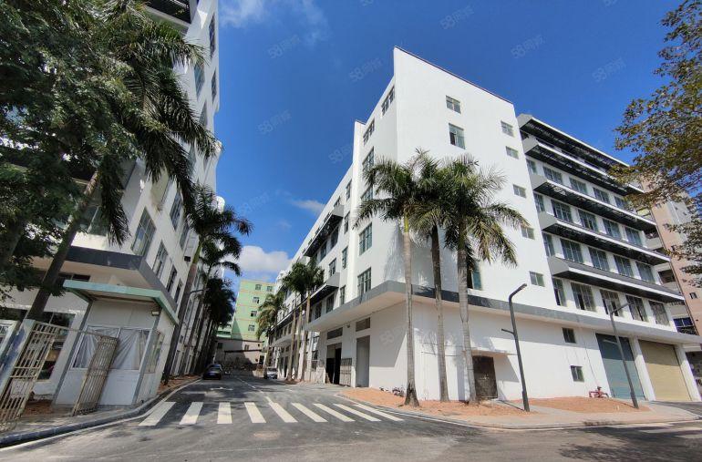 生物医疗坑梓5000平一二楼原房东红本全新厂房500平起分