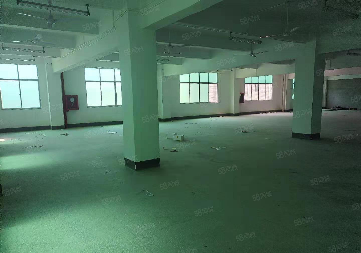 坑梓老坑加油站空出3楼1300平米有装修办公室