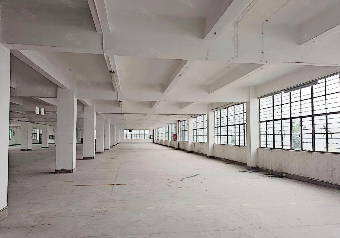 坪山高新产业园厂房仓库500平1千平2千平出租