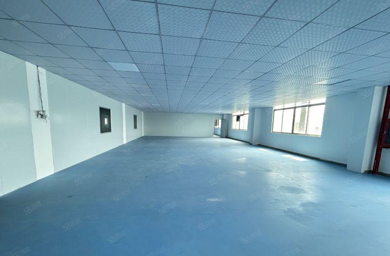 坪山高新产业园1580平厂房仓库出租现成洁净车间无需转让费