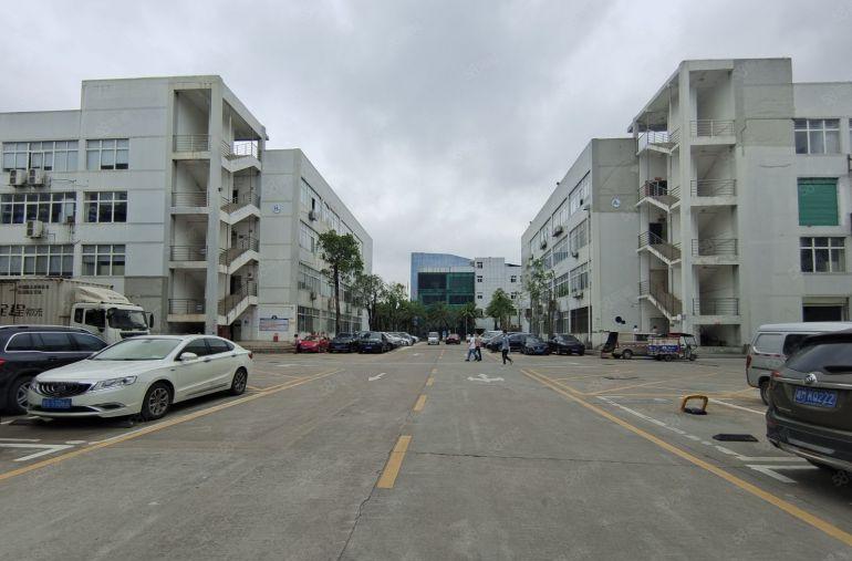 1楼层高6米超大空地坪山原房东带精装修办公室厂房仓库低价出租