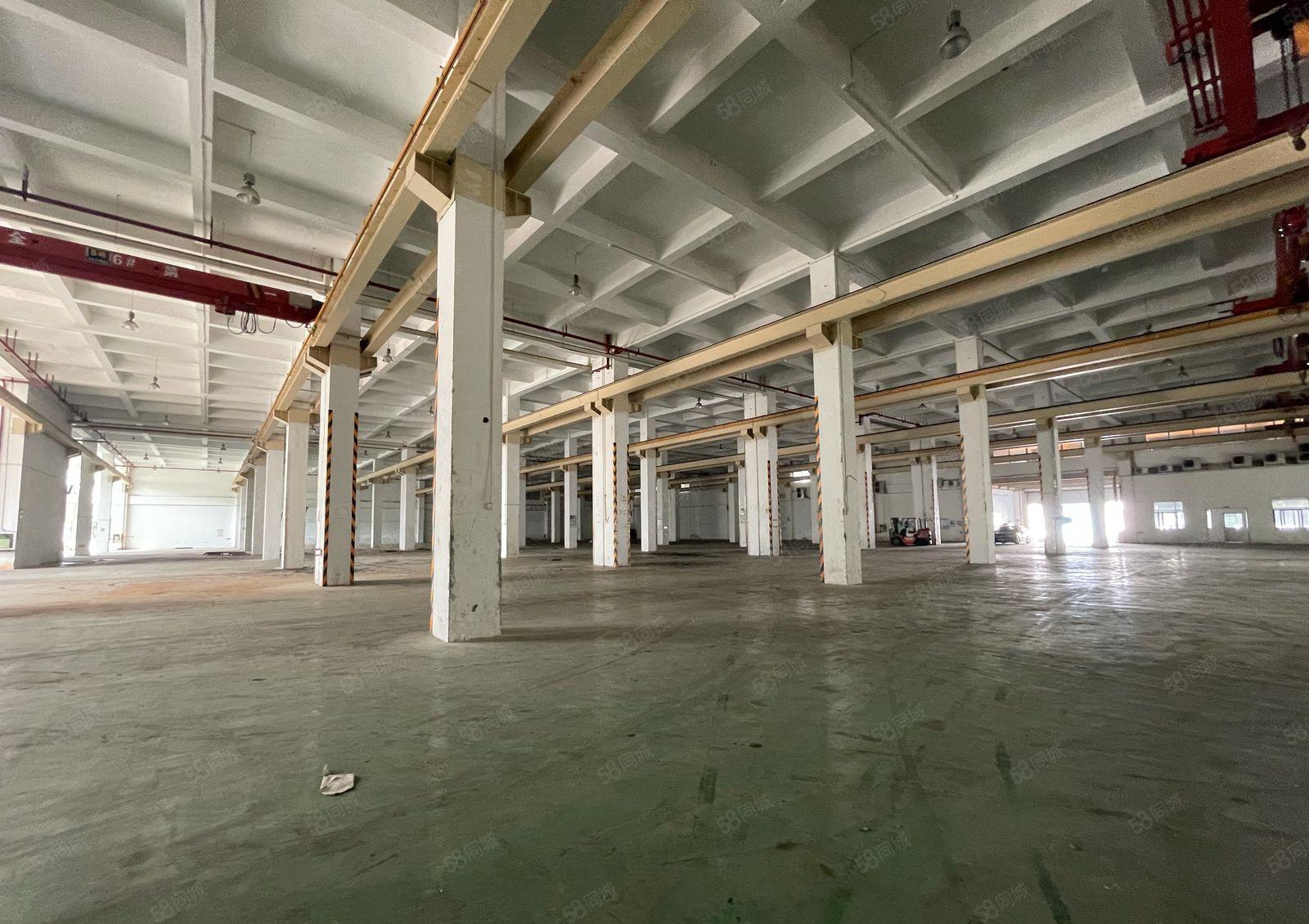 坪山一楼厂房12000平红本厂房出租高度9米带现成行车可分租