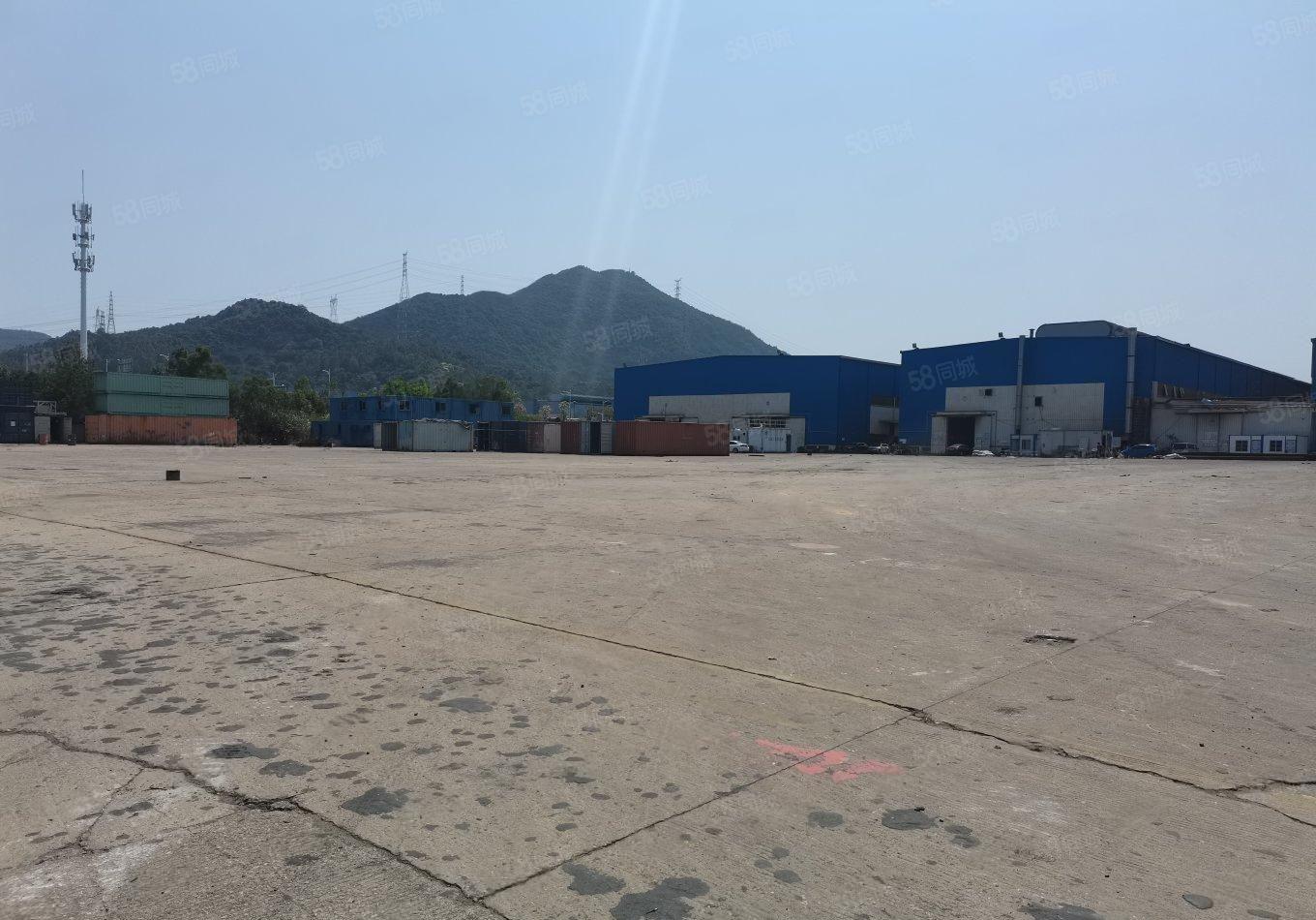 超大空地原房东红本钢构14米层高60000平2000平起分