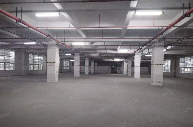 坪山区原房东红本30000平标准厂房出租，大小可分租