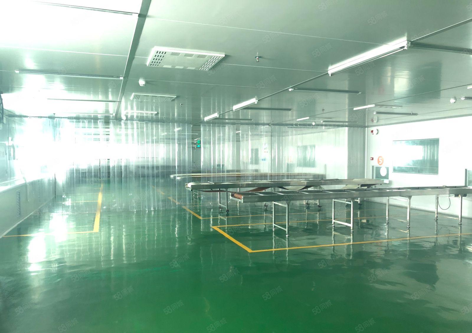 深圳20块一平无尘车间带冷冻库5400平食品加工独院厂房出租