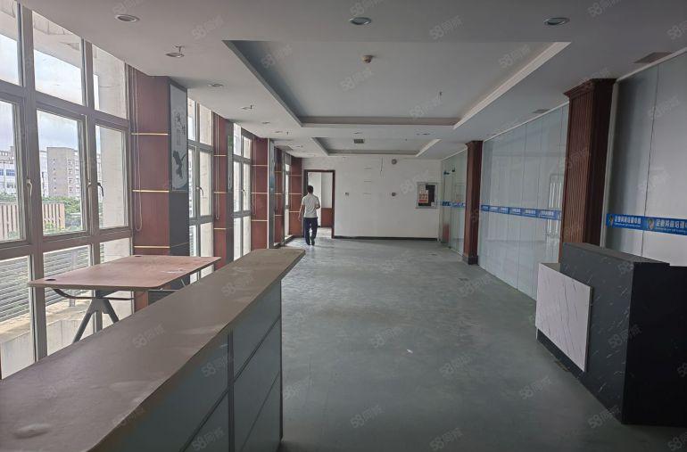 报价12元！坪山碧岭金碧路边原房东独院厂房5000平方出租租