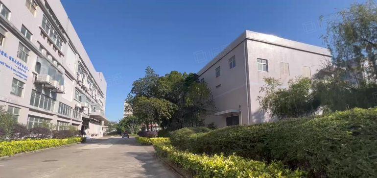 坪山原房东层高7米19000平方厂房仓库出租1200平可分租