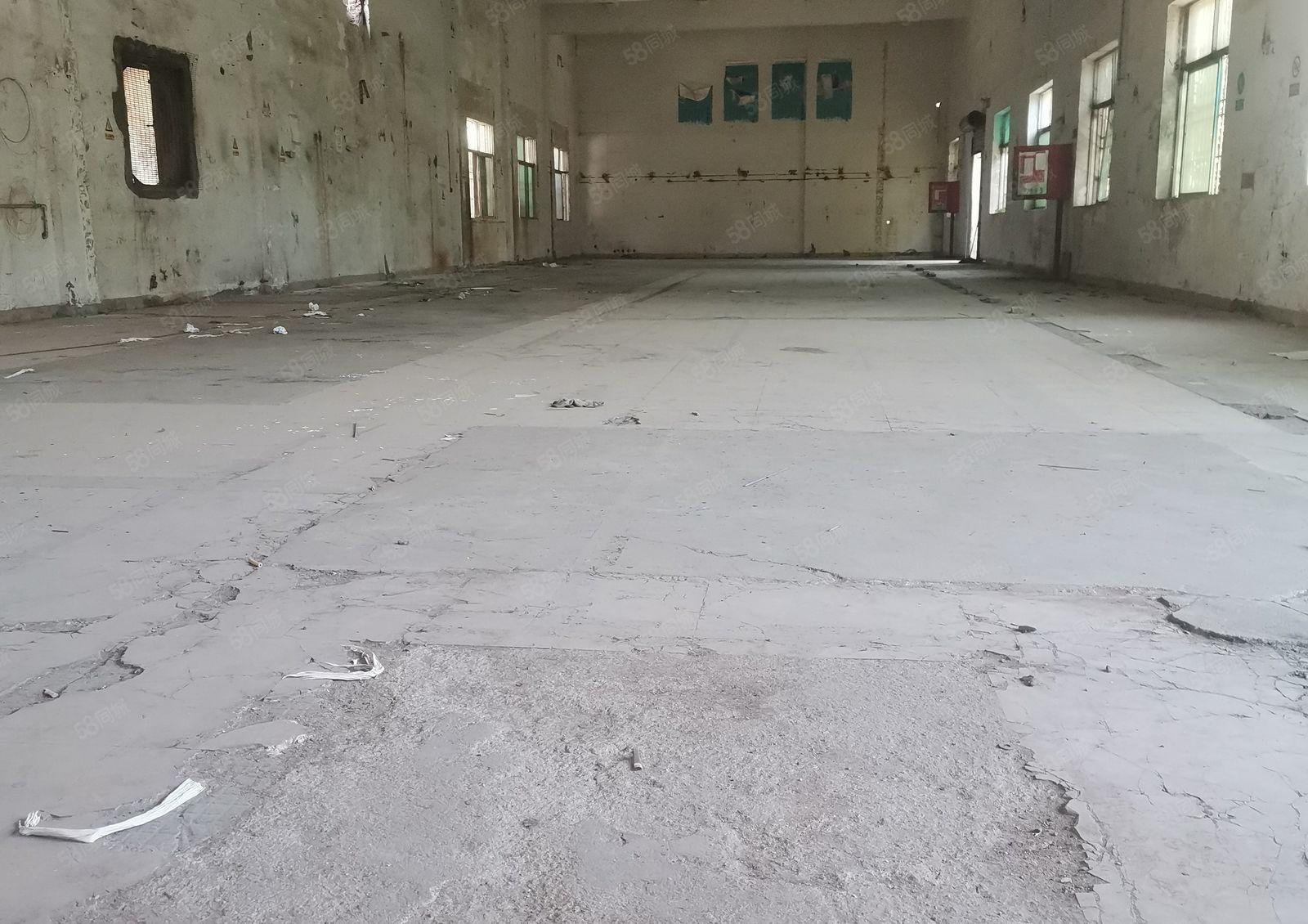 9元厂房  9元厂房出租7000平，大小分租有2吨货梯