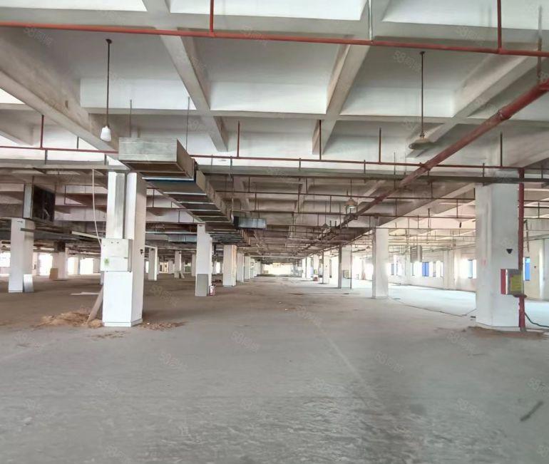 3000平地铁口附近标准厂房电子生物等等不限行业