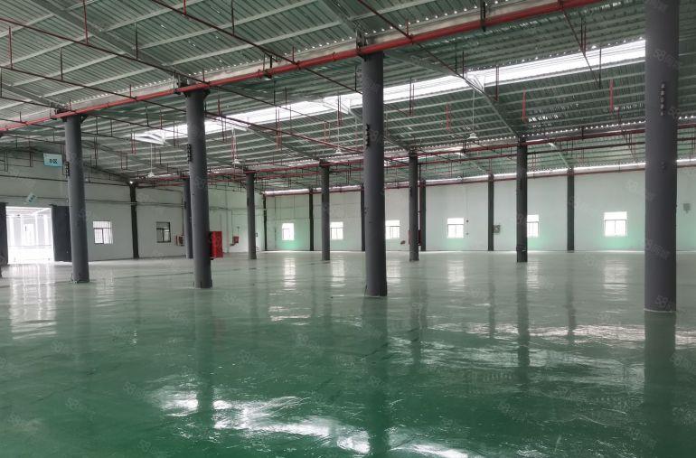 坪山坑梓大工业区原房东钢结构厂房仓库5000平滴水7米可分租