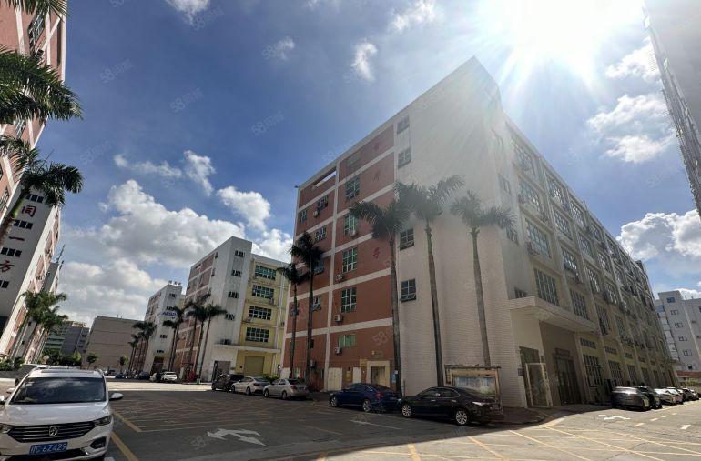 坪山竹坑原房东大型科技园3楼500平带装修办公仓库厂房出租