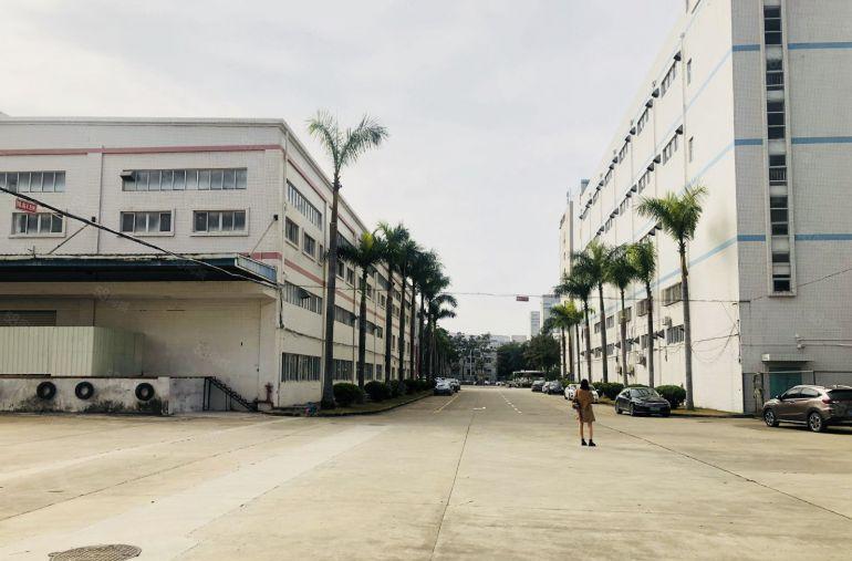 坪山坑梓东联工业区3楼2000平带装修办公室厂房出租可分租