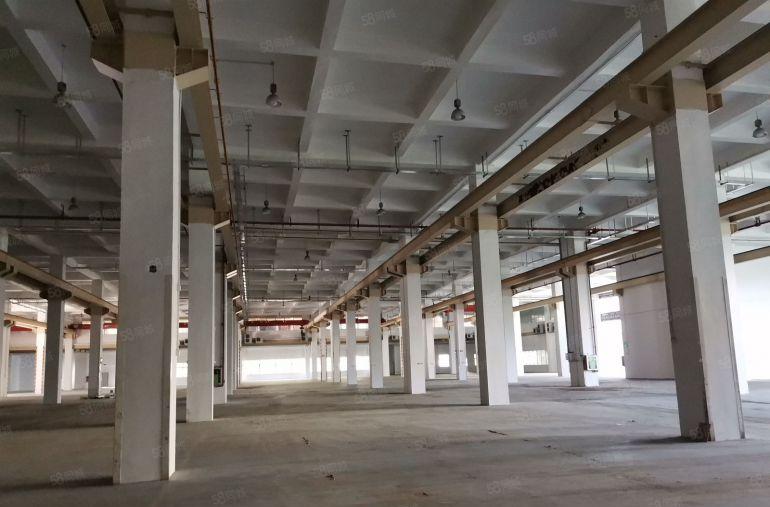 深圳市坪山区1楼9.5米高，11800平米，厂房出租，可分租