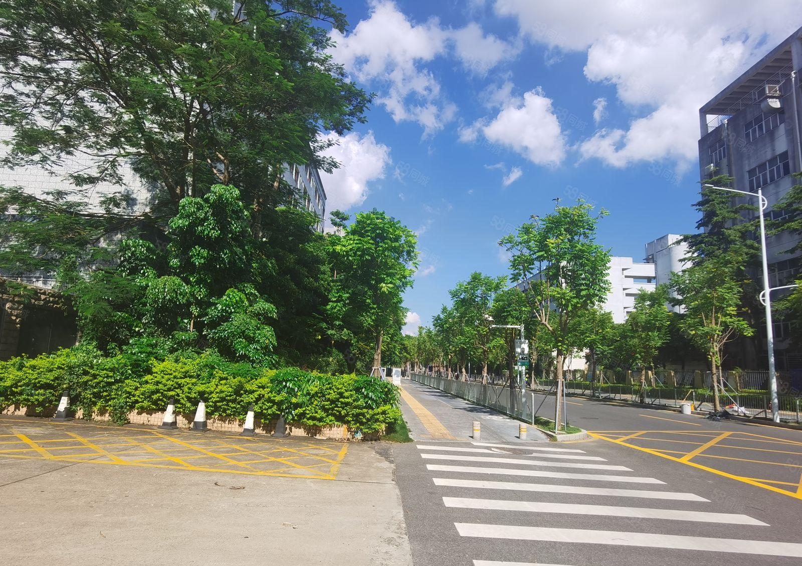 5500平起租！坪山宝山独门独院厂房3万平米精装修低价出租