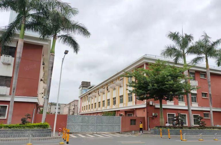 坪山坑梓地铁站附近新空出3楼1000平带装修办公仓库厂房出租