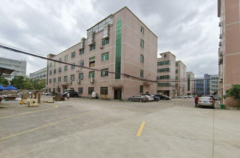 坪山坑梓大型科技园楼上1000平精装修办公仓库厂房低价出租