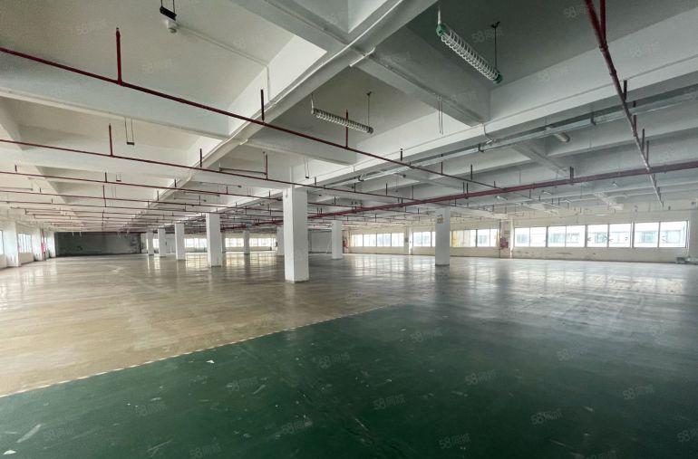 大工业区一手房东出租12000平红本厂房可分租一楼6米