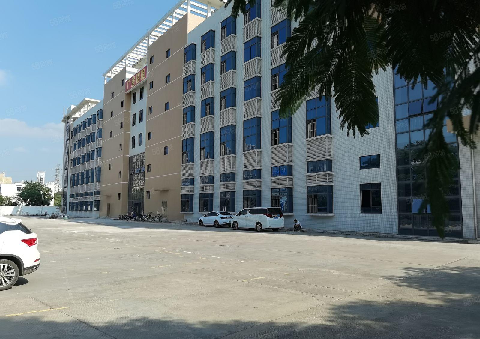 坪山新出300至2000平带装修一楼厂房楼上精选厂房仓库出租