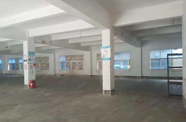 坪山坑梓工业区新空出一楼2000平200平起租，特价出租