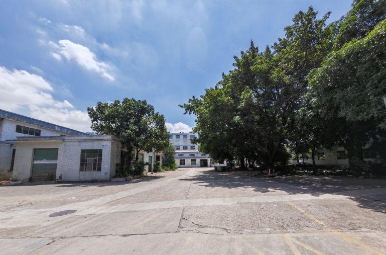 急租！坪山3500平独门独院红本厂房仓库出租