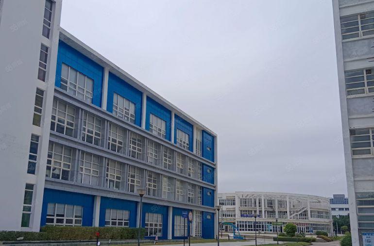 1000平方起分组坪山漂亮园区红本消防喷淋精装修配套成熟齐全