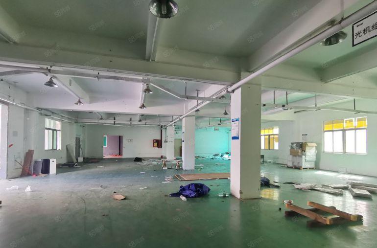 出租坪山工业区1000平标准厂房出租仓库招租300平起分租