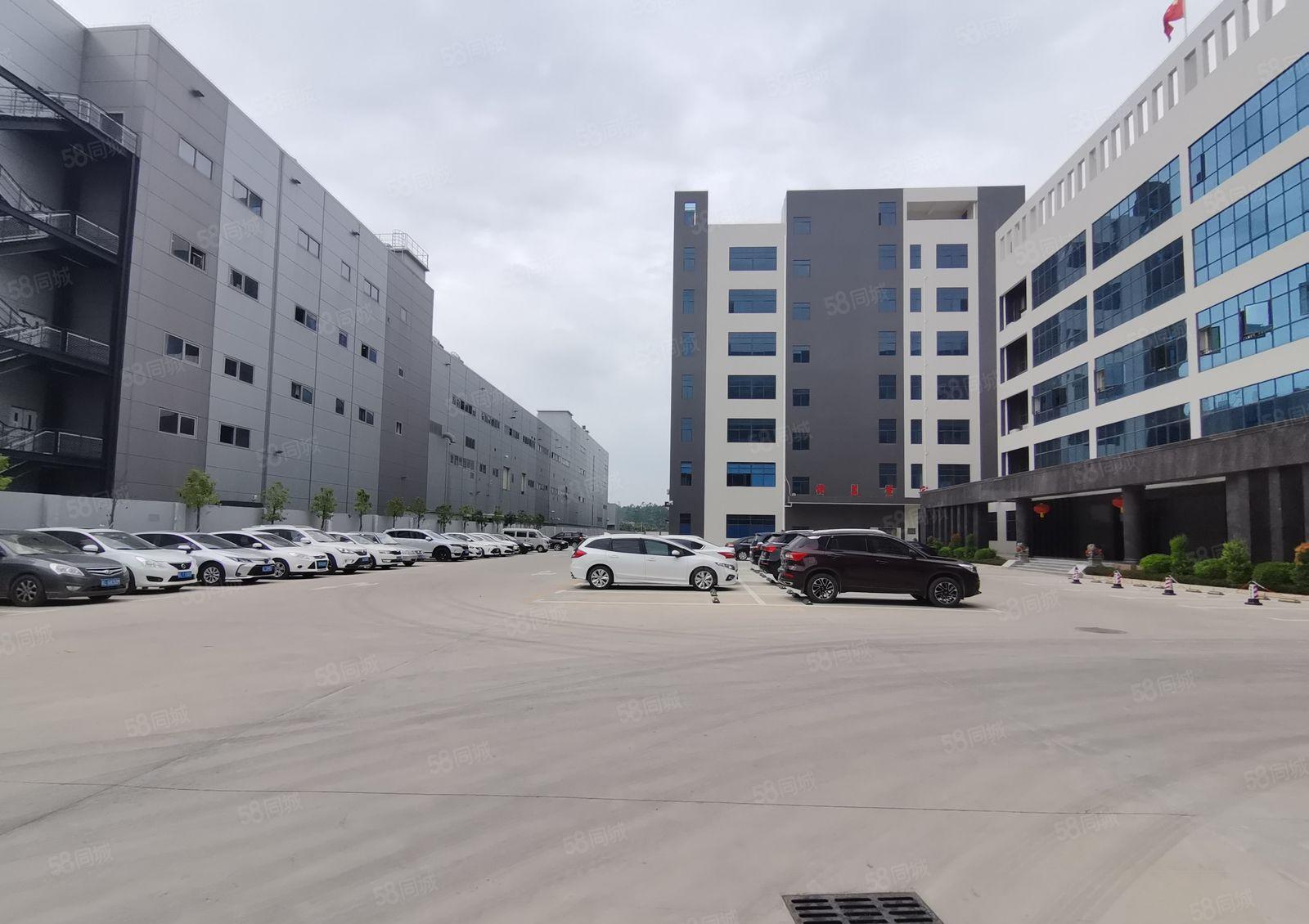 原房东！坪山原房东2万平独院，可分租，独栋厂房仓库低价出租