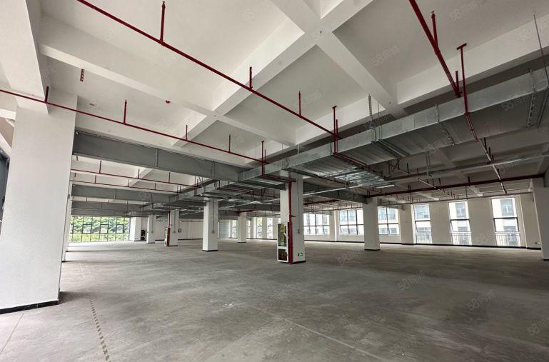 坪山原房东高新产业园厂房仓库出租500平起起带红本享租金补贴