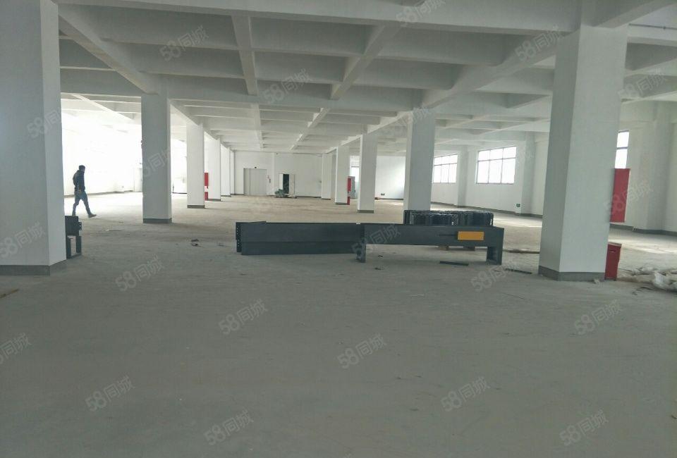 龙岗全新12000平米全新独栋厂房出租可分租