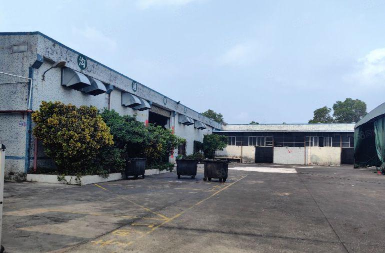 坪山六和城地铁站旁原房东独院钢构3000平方厂房物流仓库出租