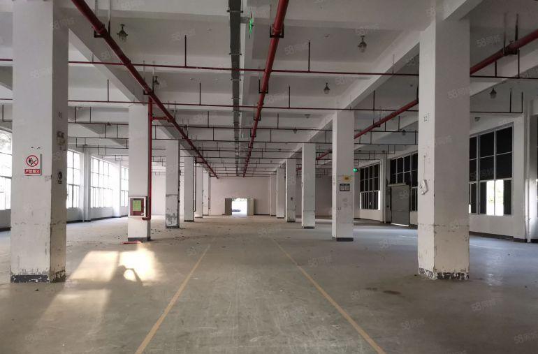 深圳市坪山区52000平方米红本厂房出租，每栋26090平米