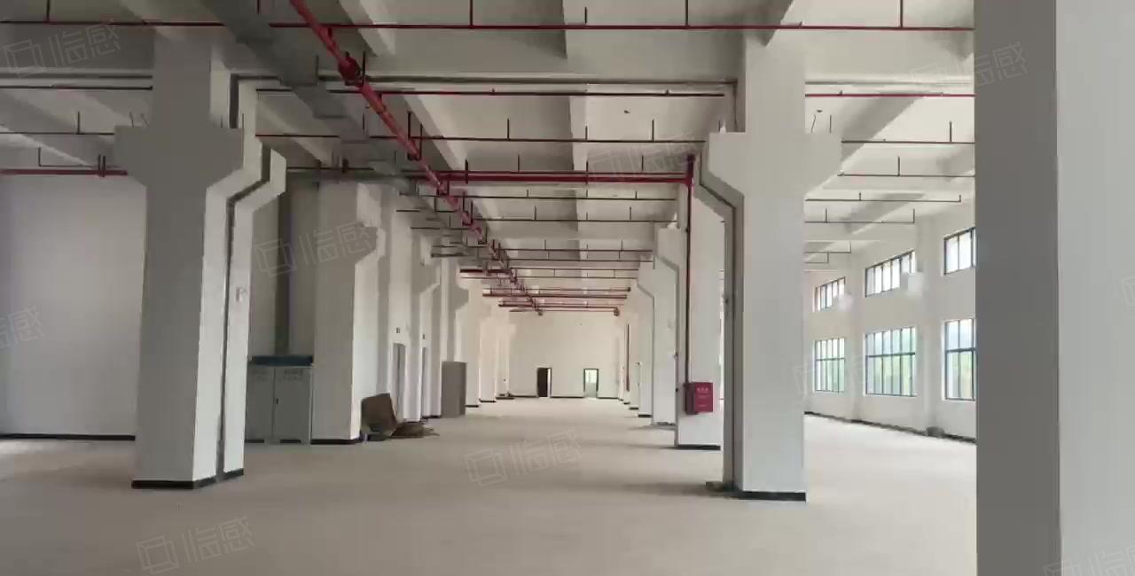 300平起租坪山新区原房东大型花园式红本独栋厂房仓库1万平