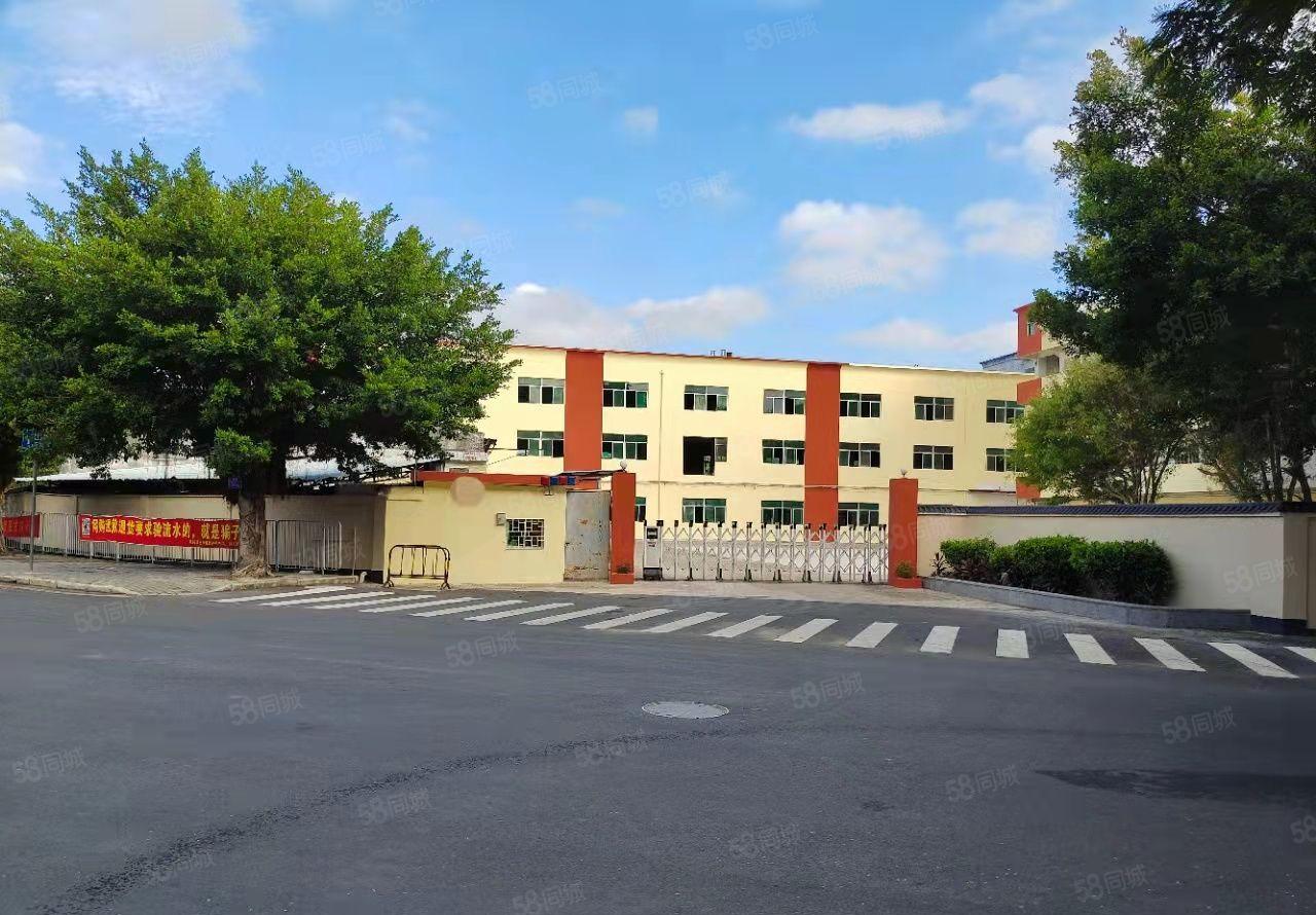 合同十年！坪山丹梓大道旁原房东独院厂房仓库10000平出租