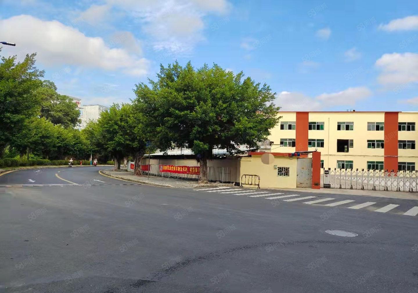 原房东直租坪山坑梓独院8800平仓库厂房空地大交通便利可分租