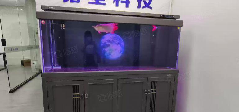 坪山坑梓原房东厂房出租独院40000平方500平起租空地超大