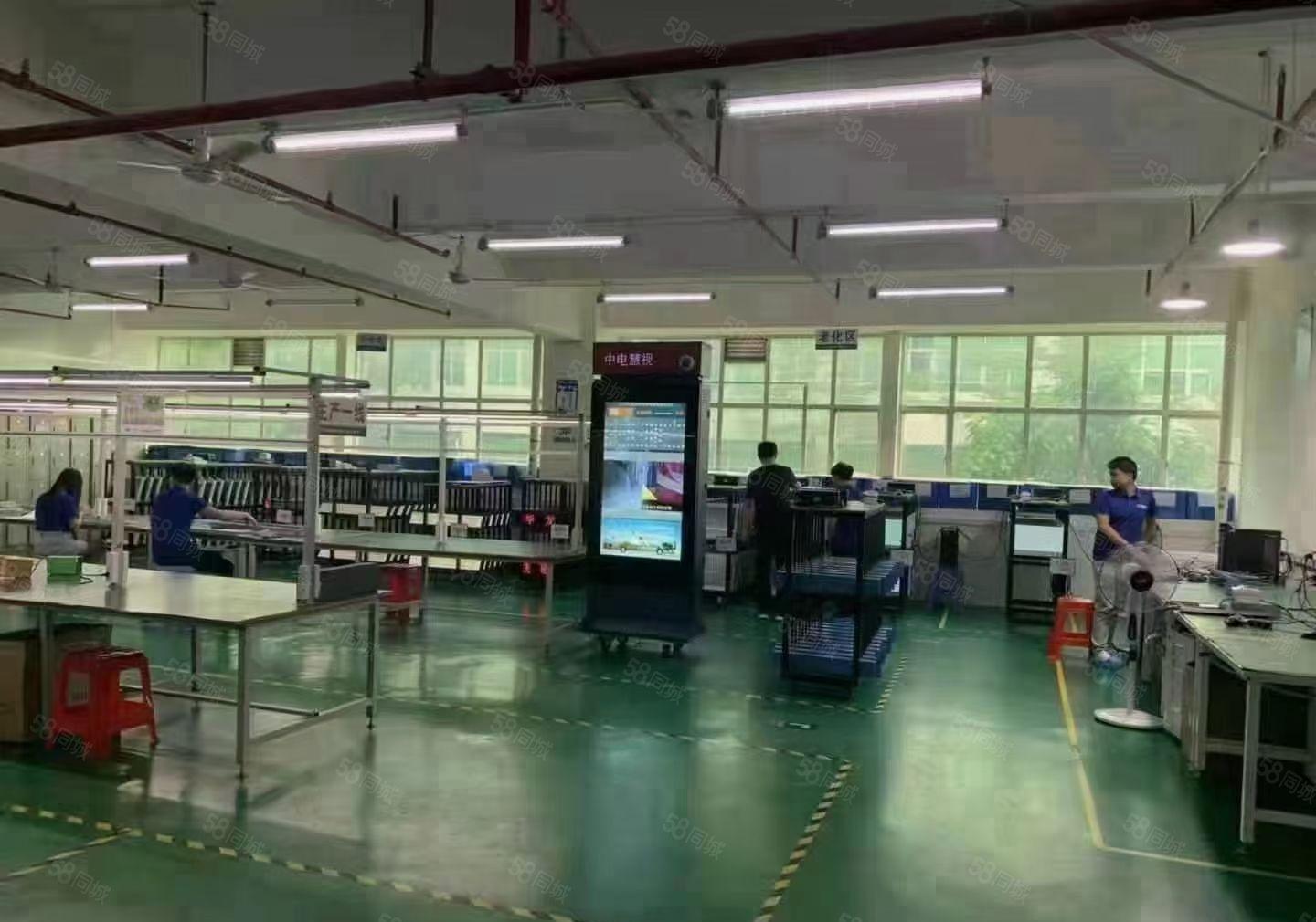 坪山新出精装俢二楼厂房1480平方出租，无公摊