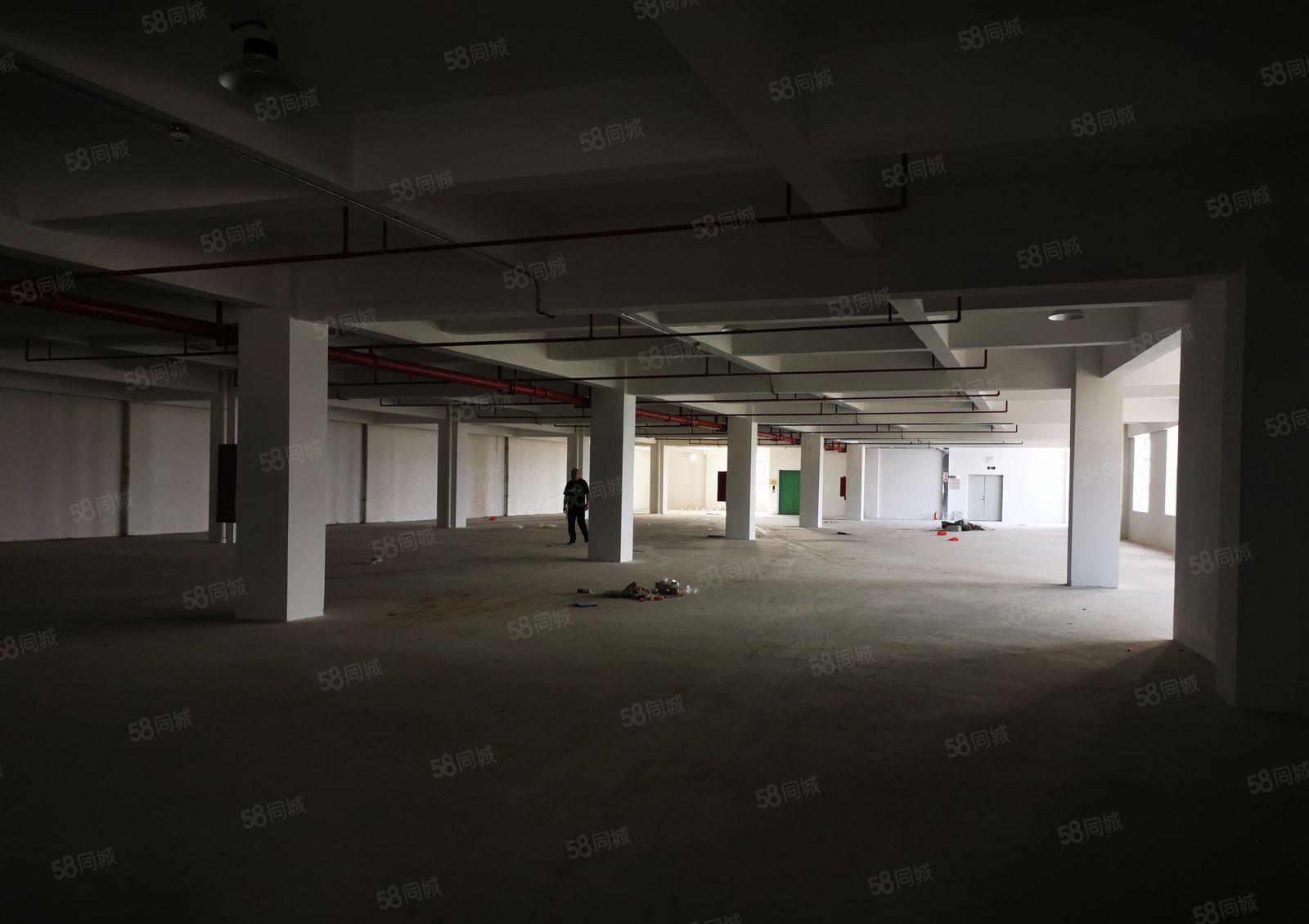 坑梓比亚迪旁边空出红本全新厂房15层26000平米大小分租