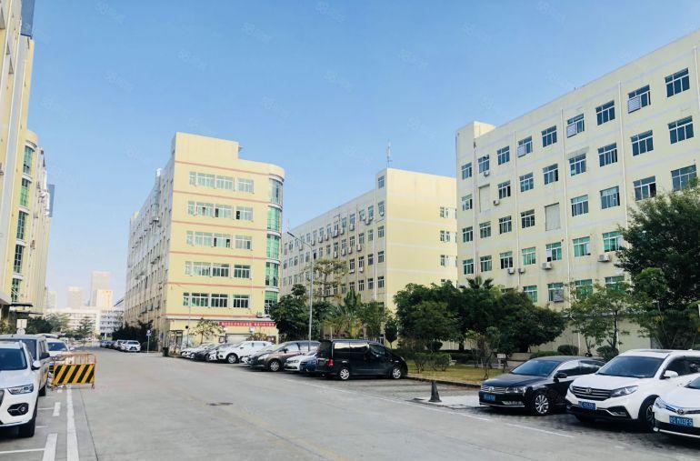 坪山石井原房东科技园新出楼上1000平带精装办公仓库厂房出租