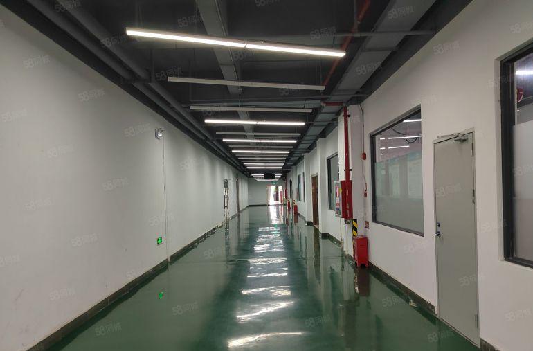 坪山红本生物科技医疗园区2000平厂房低价出租200平起分租