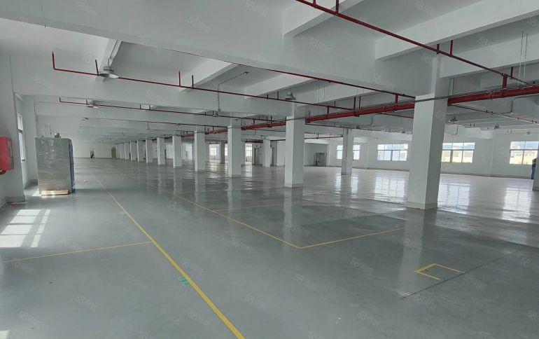 坪山高铁站附近新出3000平一二楼带装修厂房仓库出租大小可分