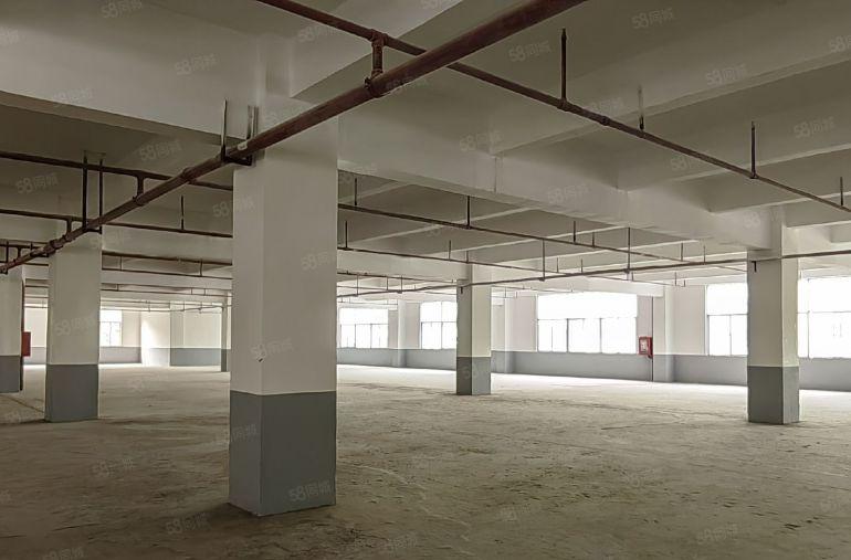 特价优惠打包价1万元坪山坑梓联兴路独院二楼600平高4.8米