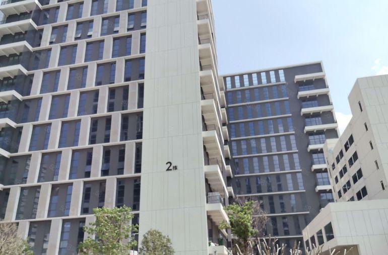 深圳市坪山区全新原房东医疗大健康食品产业集群平米厂房出租