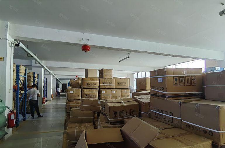 报价12元！坪山碧岭金碧路边原房东独院厂房5000平方出租租