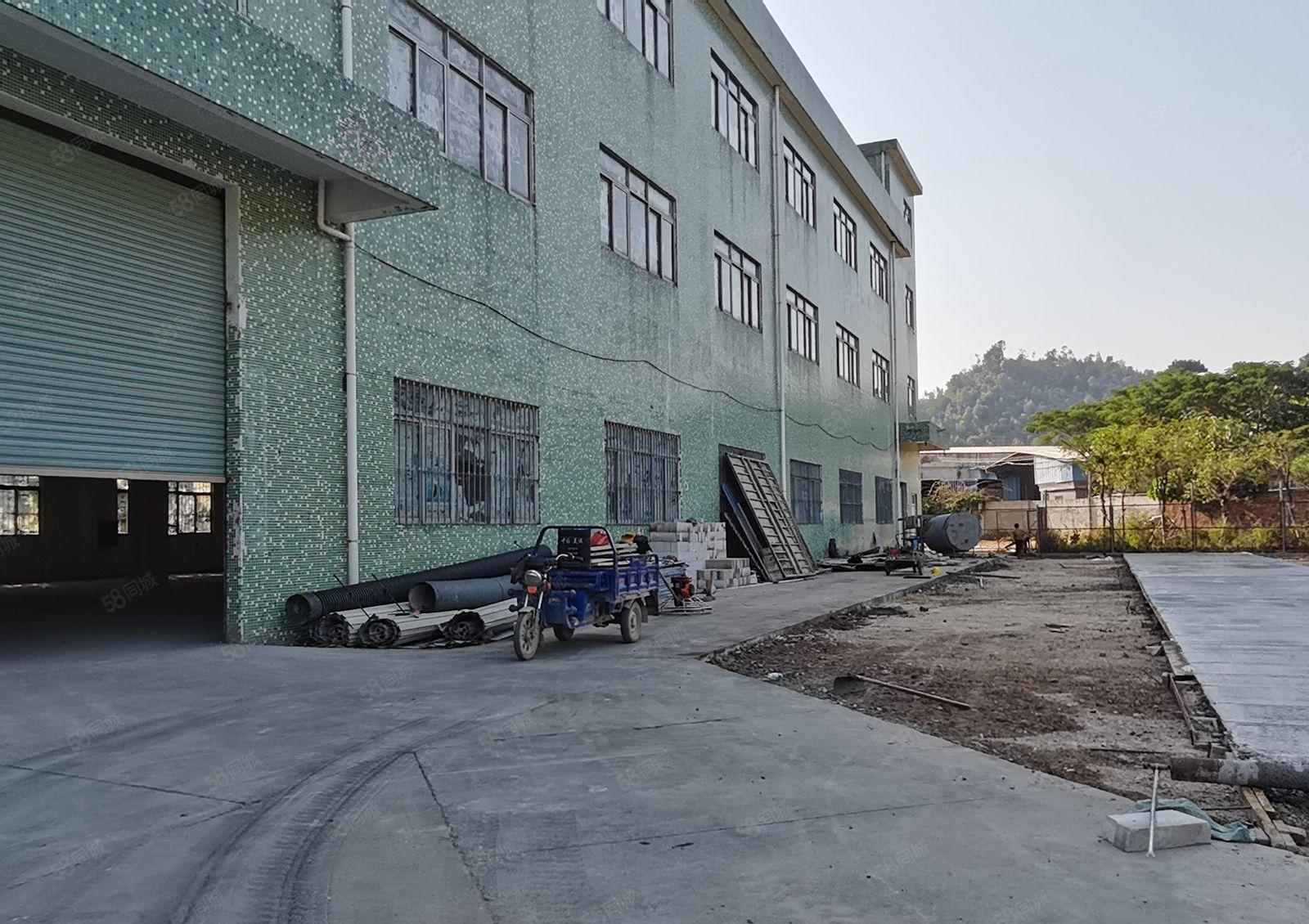 高5.5米一楼坪山石井上村工业区附近原房东独院800平空地大