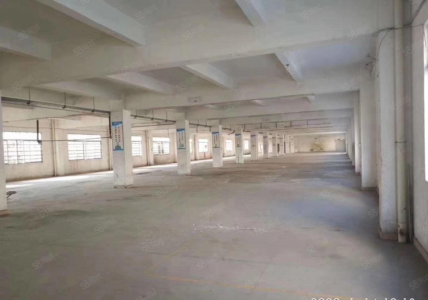 1楼20元起  石井第二工业区独院1楼1300平米，可分租