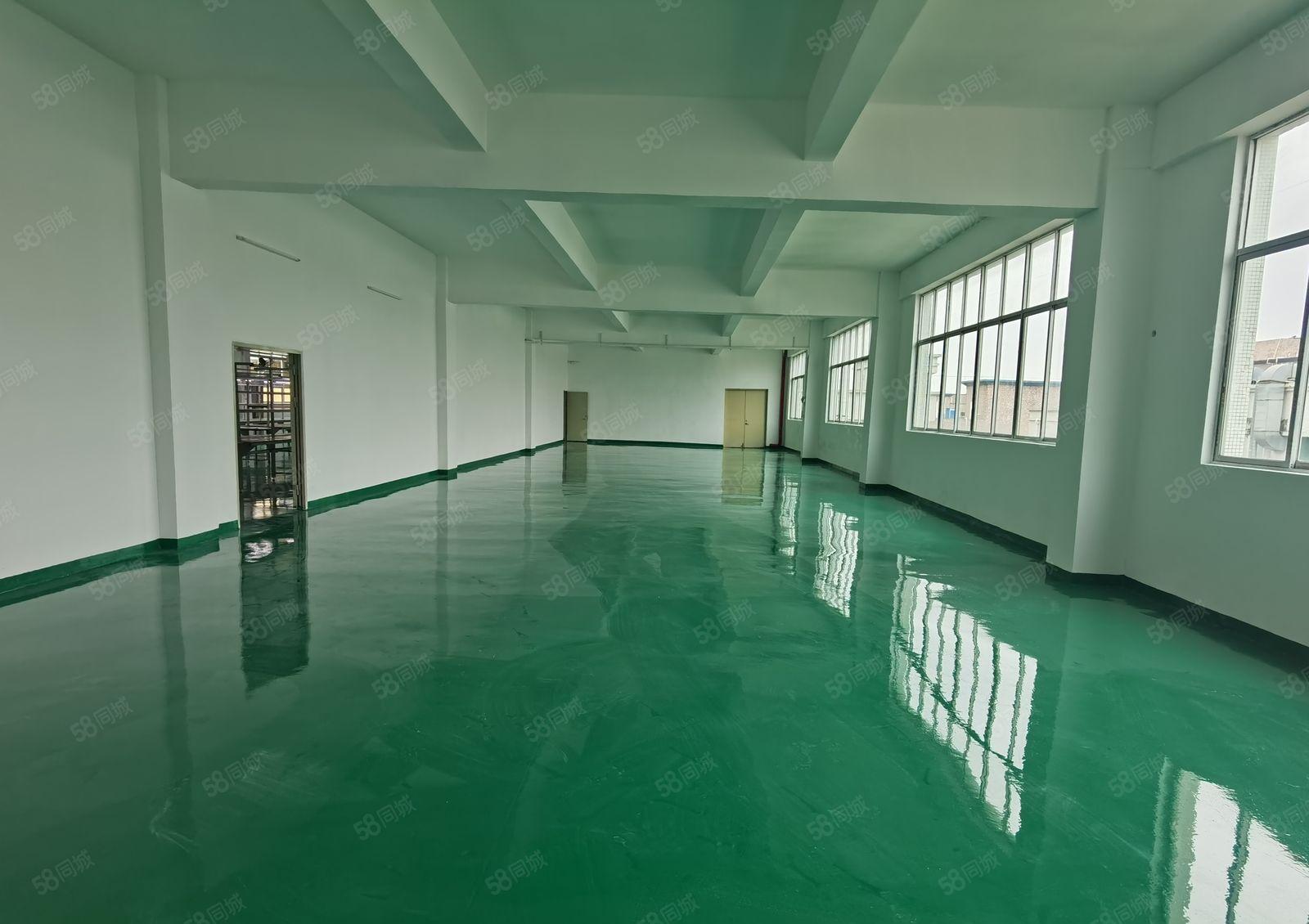 坪山燕子岭原房东楼上1100平带精装修仓库厂房出租可办公